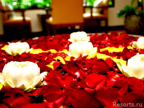 Diamond Cottage Resort & Spa 33